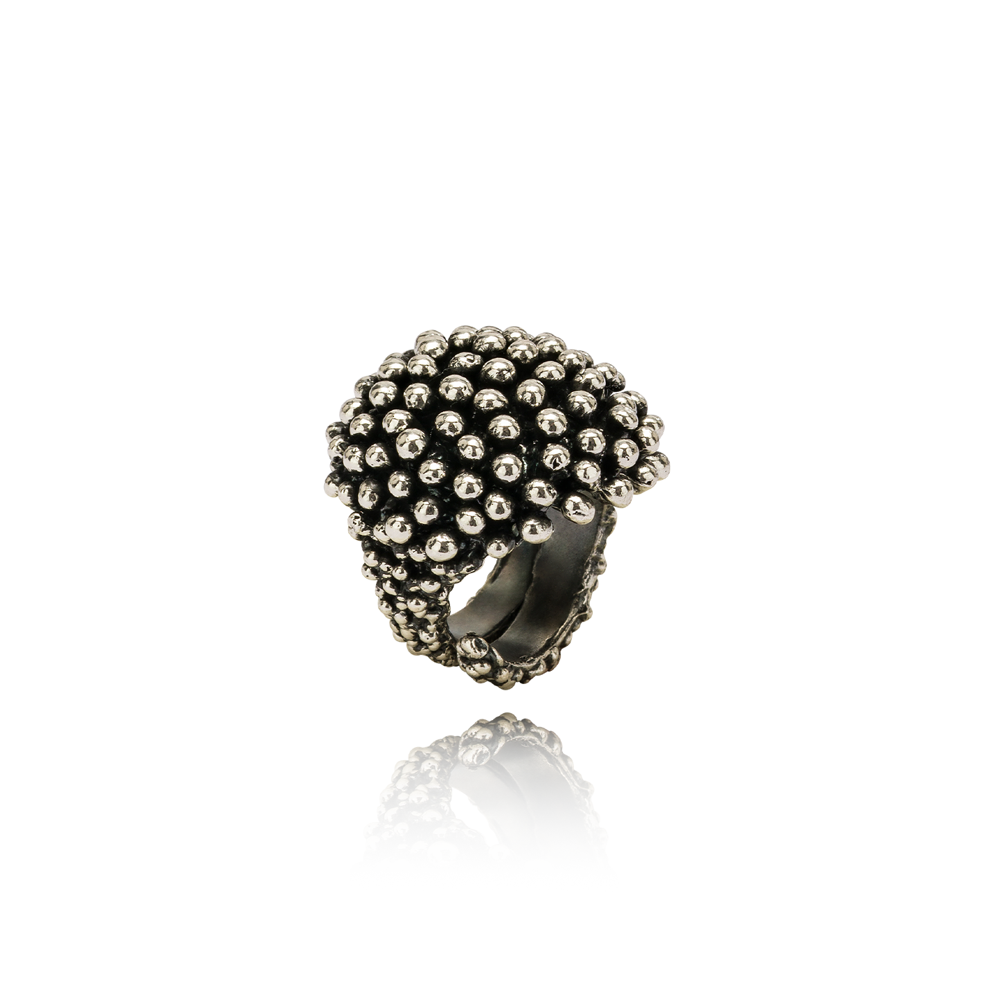 Riccio Anello Medio