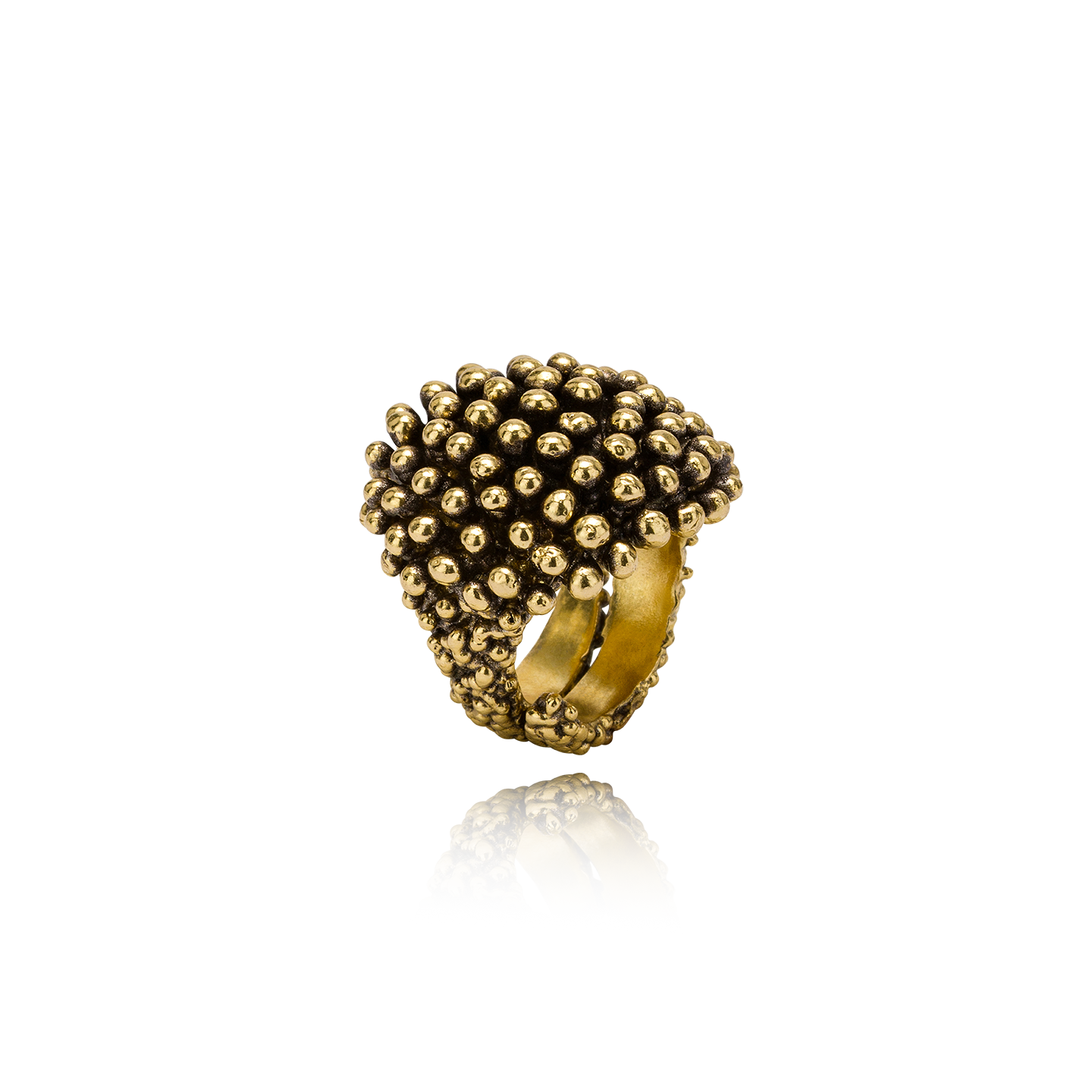 Riccio Anello Medio