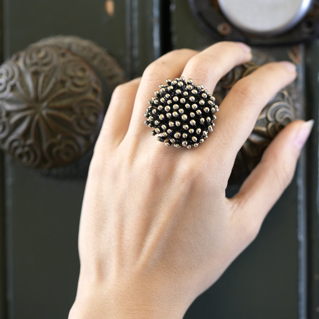 Large Ring Urchin