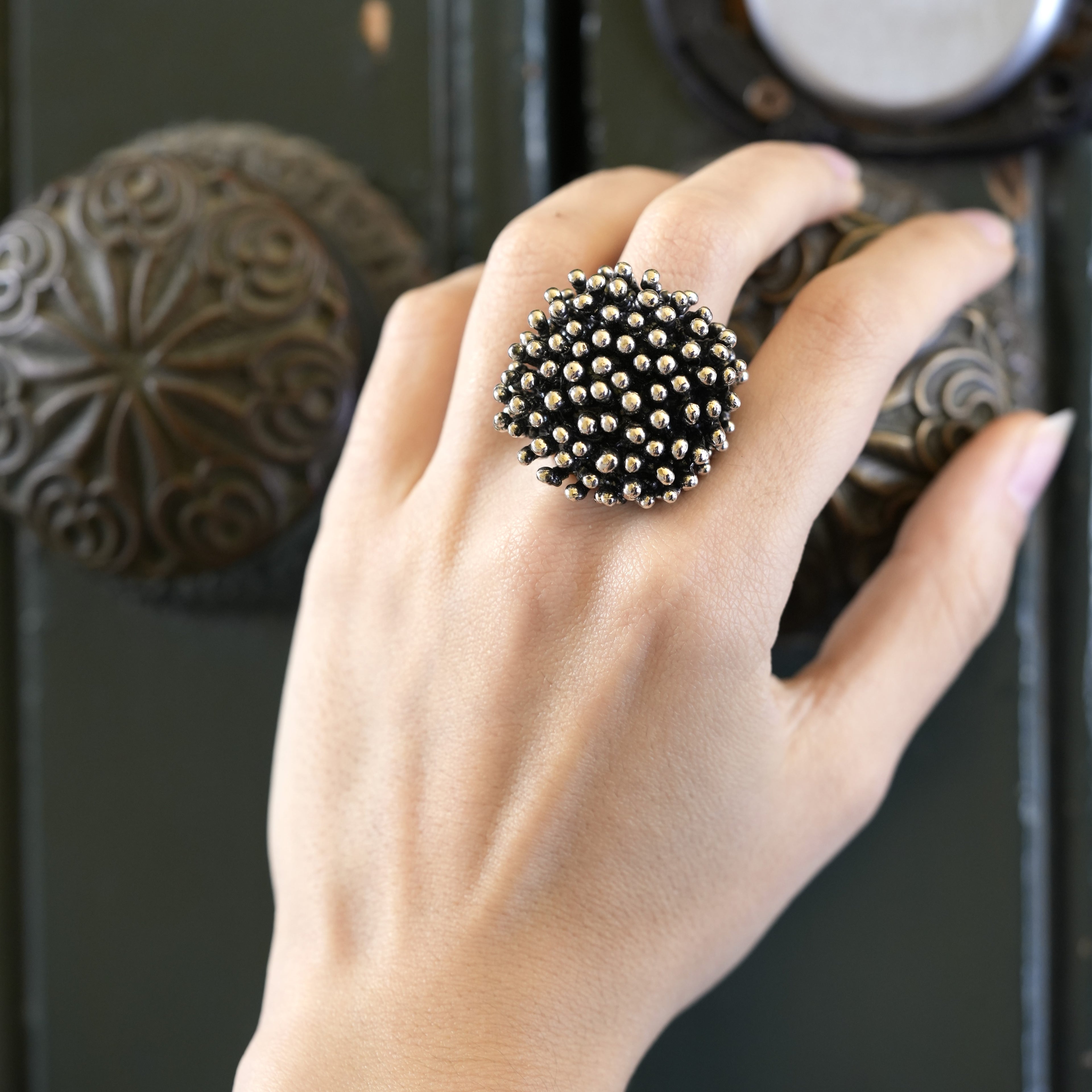 Large Ring Urchin