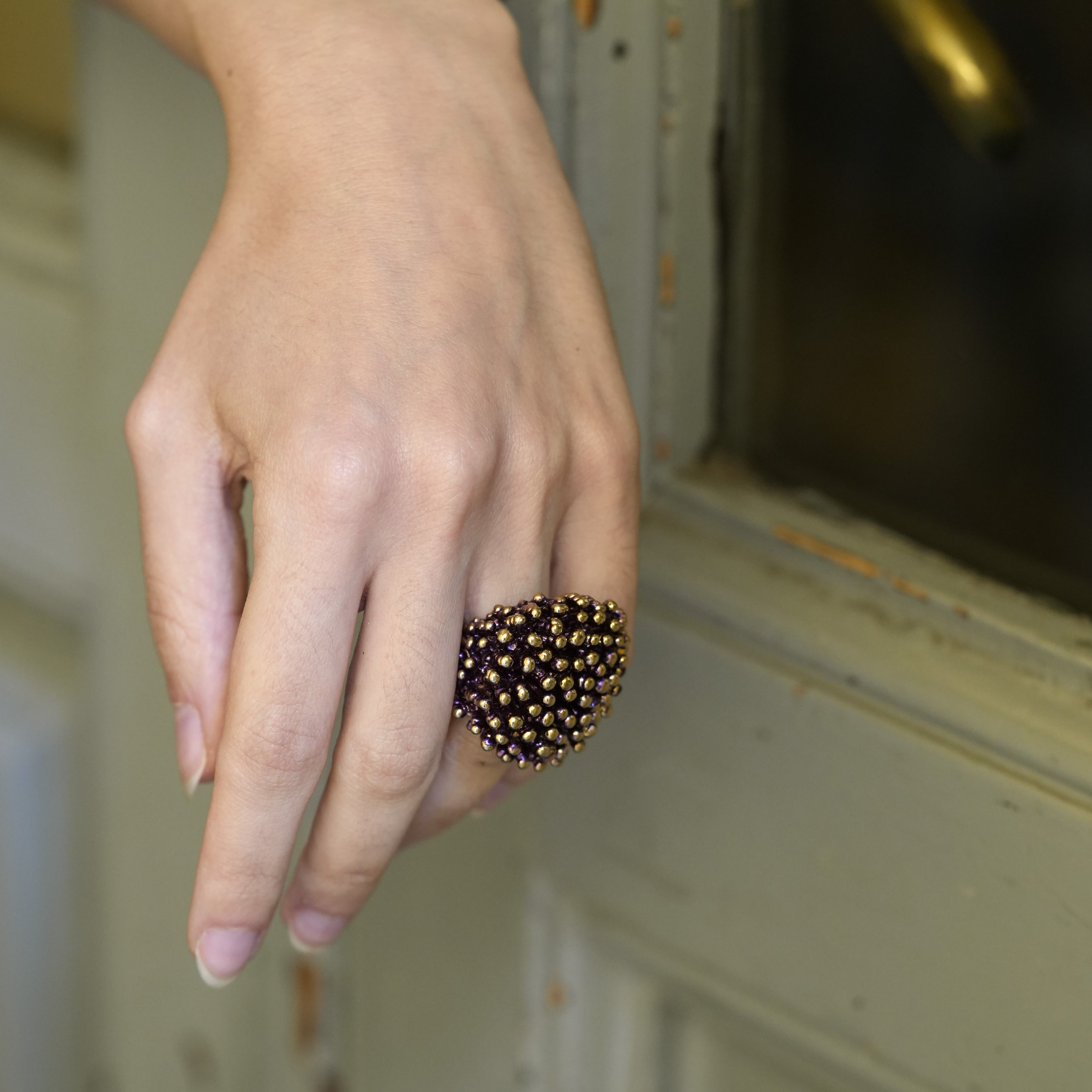 Large Ring Urchin