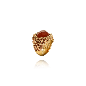 Ottone Miele - Corniola