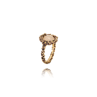 Divino Brass - Rose Quartz