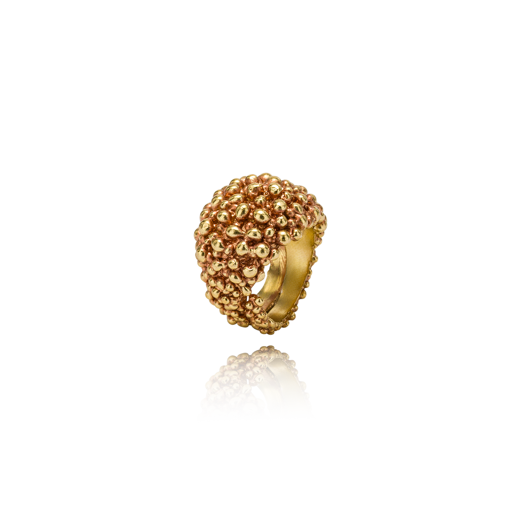 Equilibrio Anello Chevalier