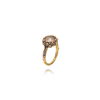 Divino Brass - Rose Quartz