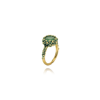 Oltremare Brass - Aventurine