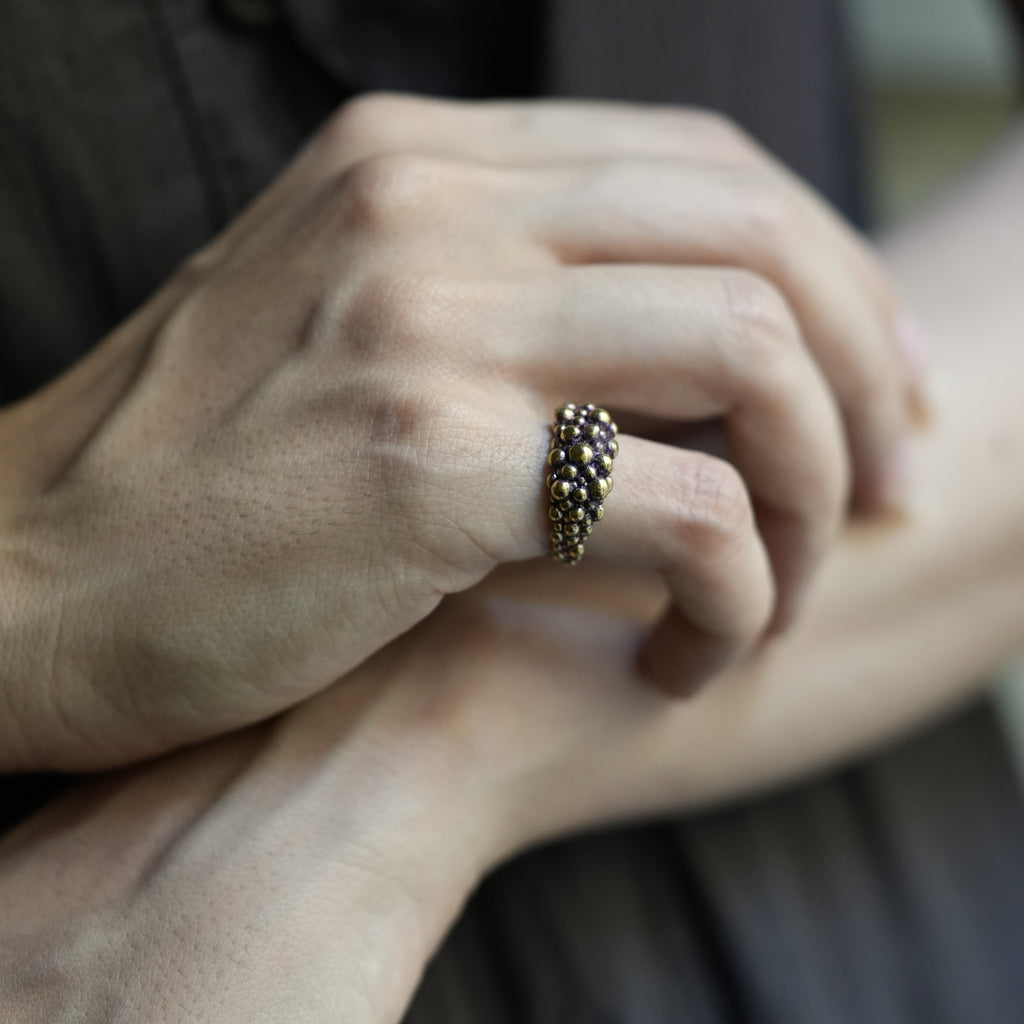 Nota Anello Chevalier