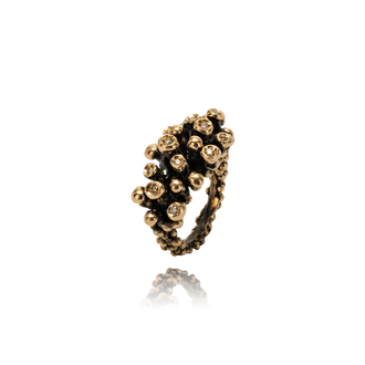 Bronzo Cioccolato