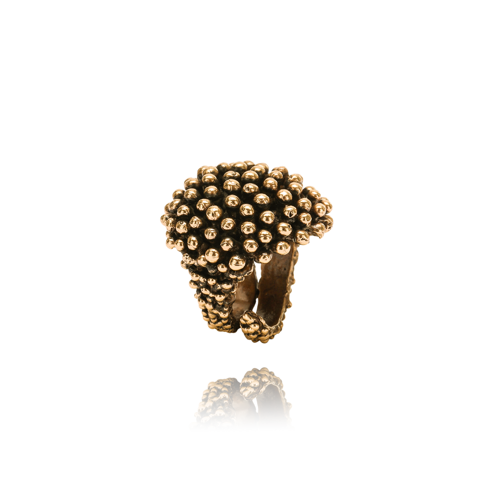 Riccio Bronzo Cioccolato