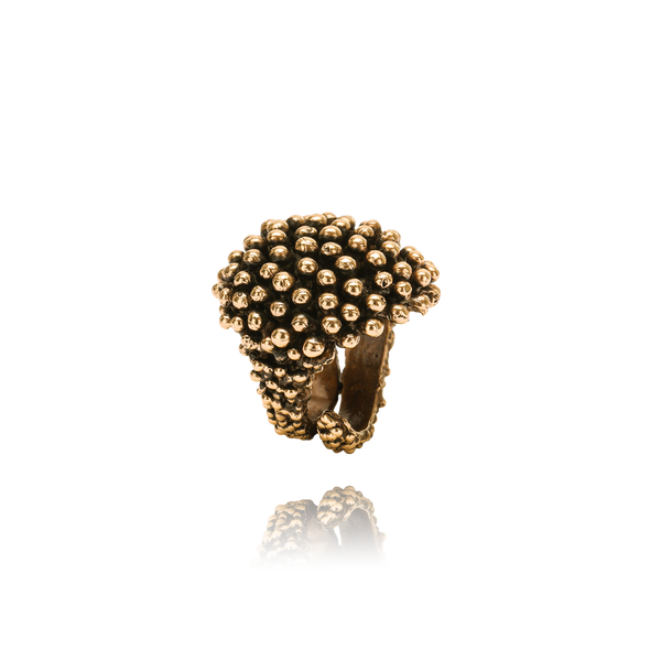 Bronzo Cioccolato