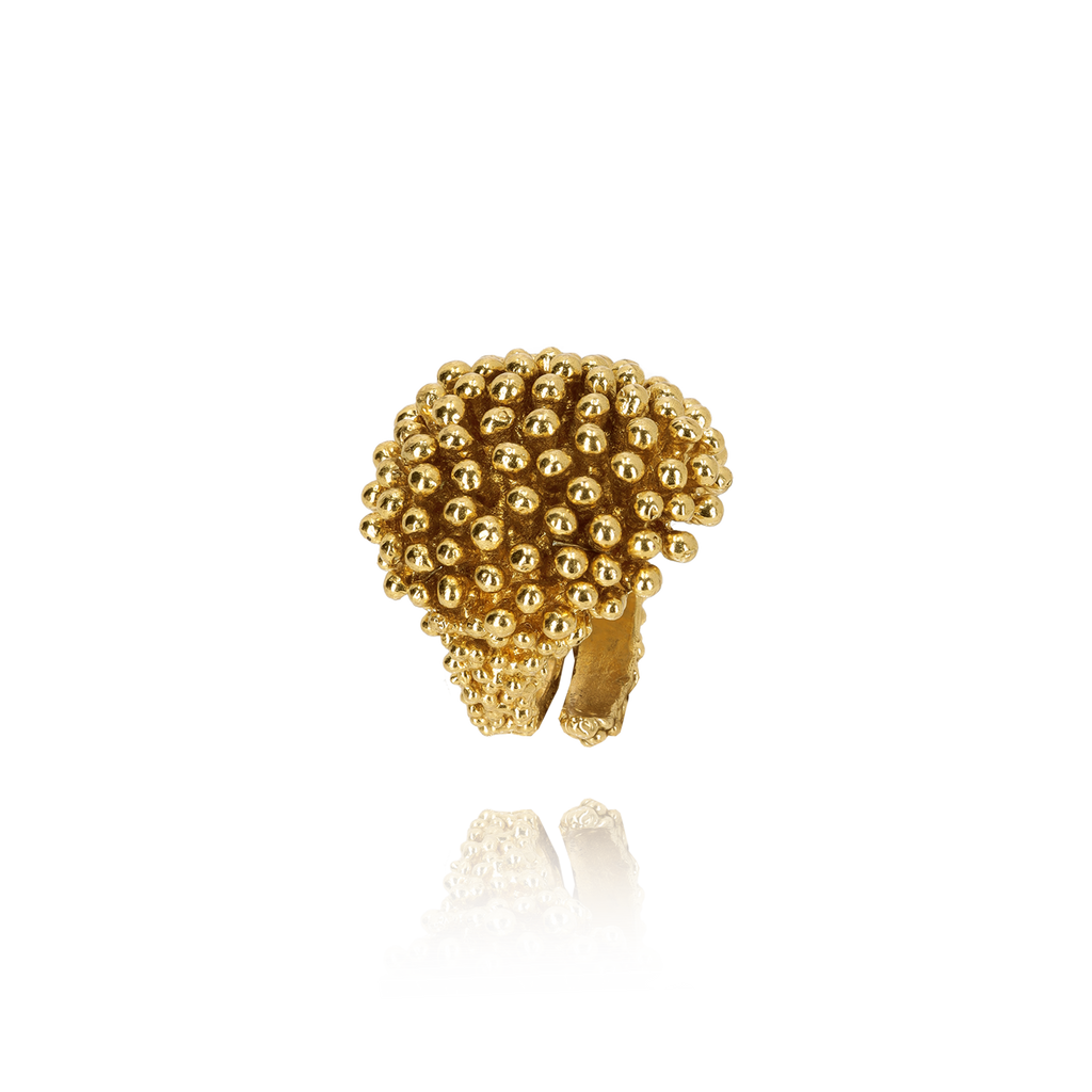 Riccio Ottone Grano