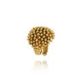 Riccio Ottone Grano