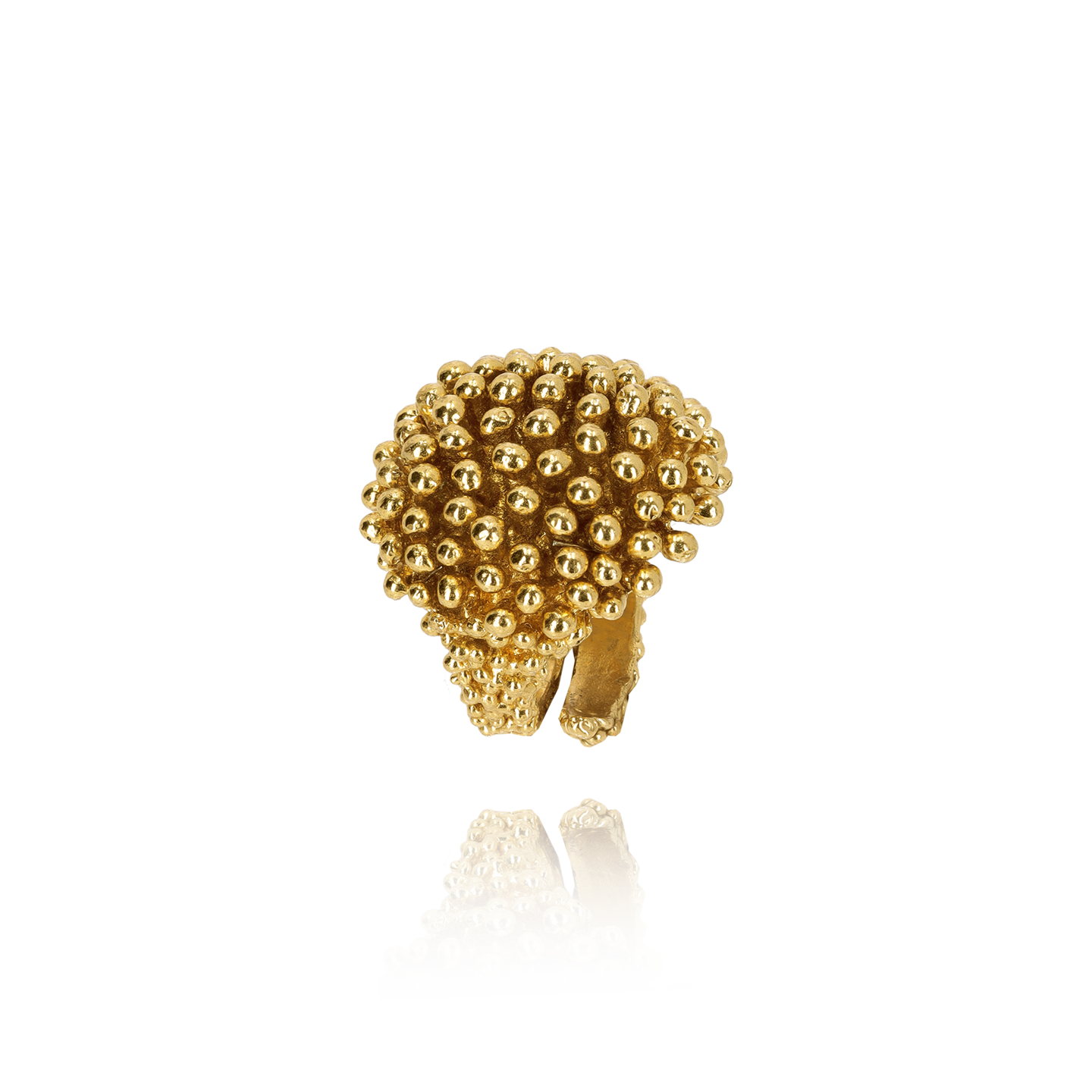 Riccio Ottone Grano