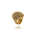 Riccio Ottone Grigiosole