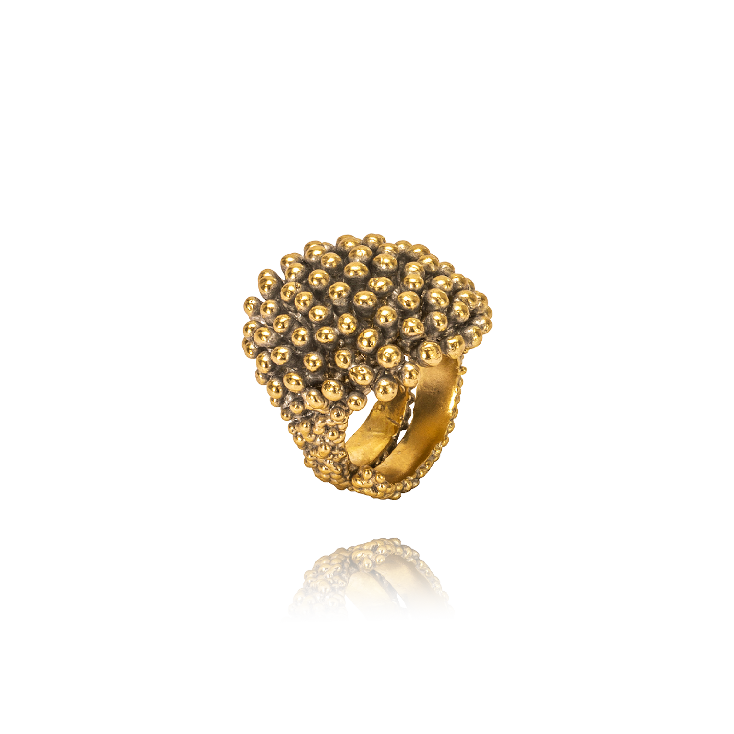 Riccio Ottone Grigiosole