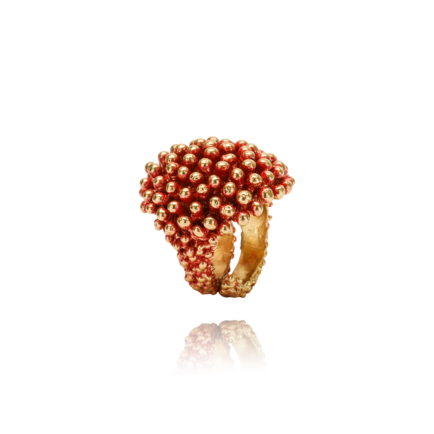 Riccio Ottone Papavero