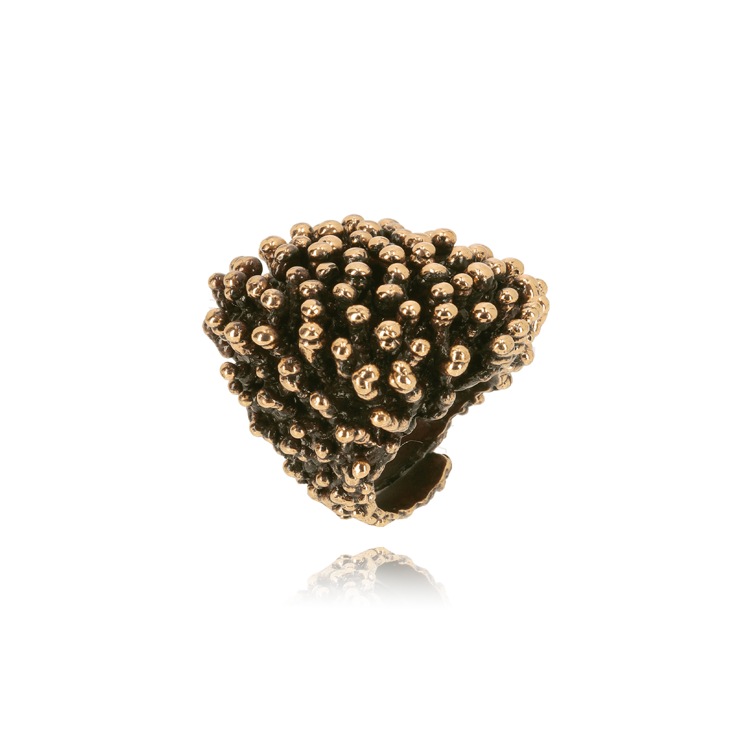 Riccio Bronzo Cioccolato