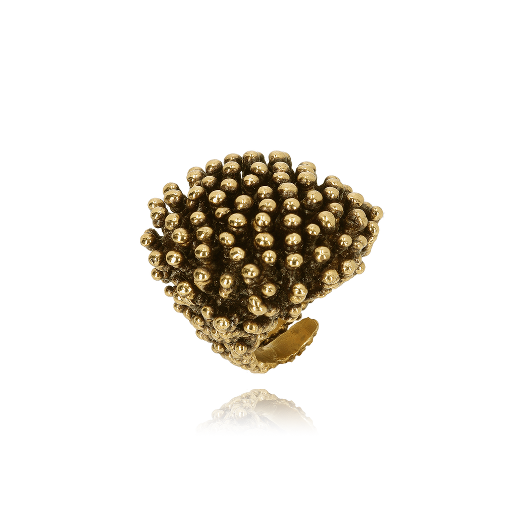 Riccio Ottone Fango