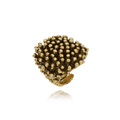 Riccio Ottone Fango