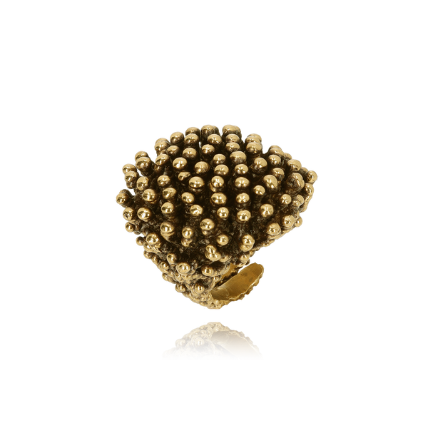 Ottone Fango