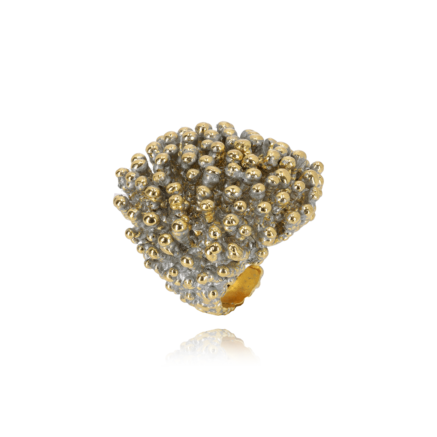 Riccio Ottone Grigiosole
