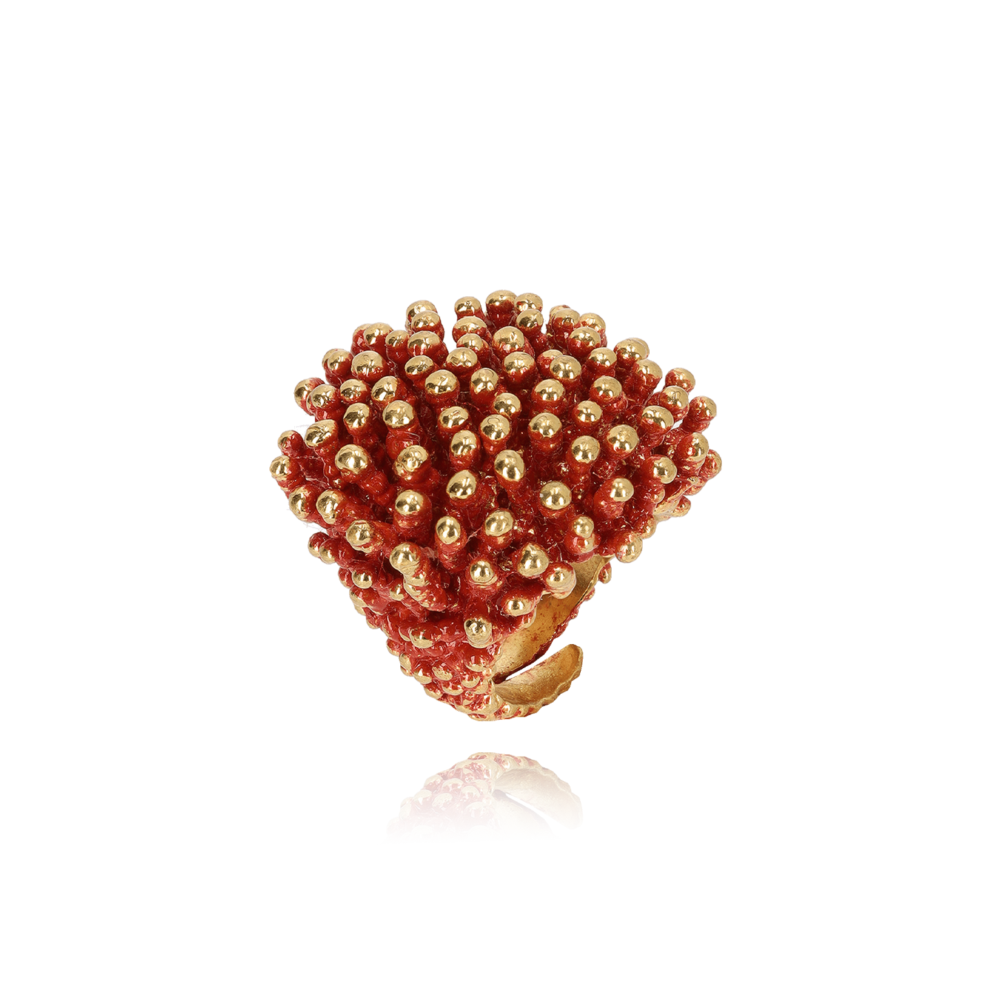 Riccio Ottone Papavero