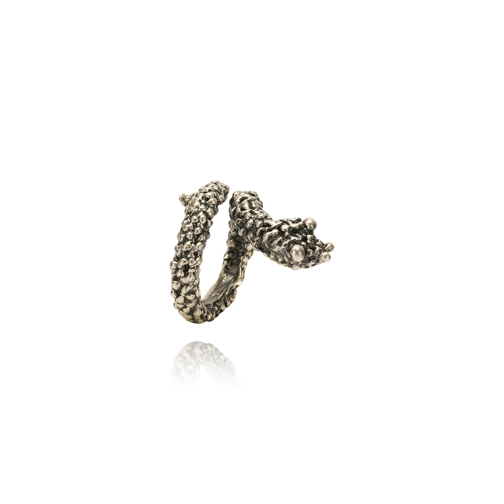 Cobra Argento Notte