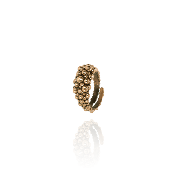 Bronzo Cioccolato