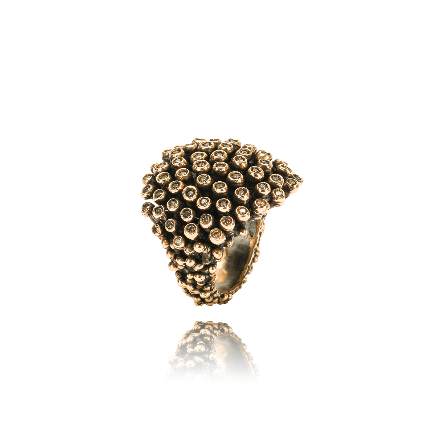 Riccio Bronzo Cioccolato