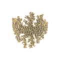 Oceano Ottone Grigiosole