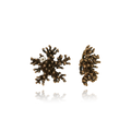 Oceano Bronzo Cioccolato