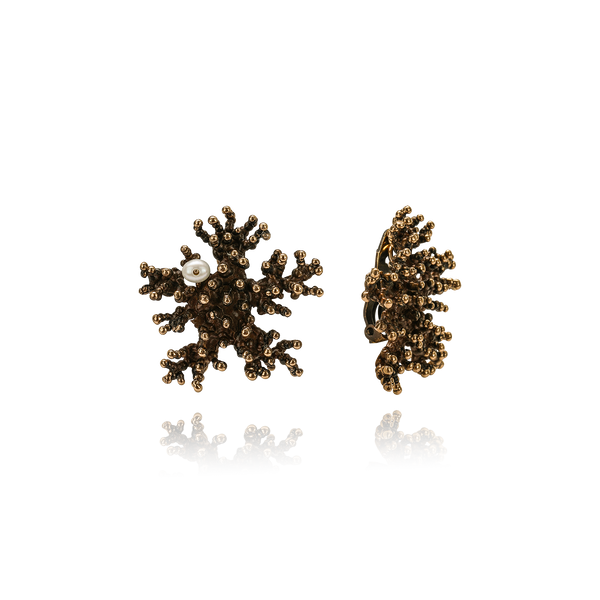 Bronzo Cioccolato