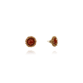Reginetta Ottone Miele Corniola