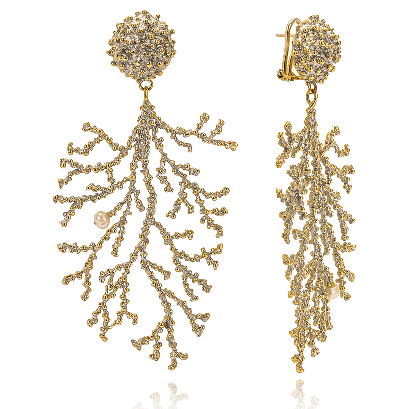 Reef Ottone Grigiosole