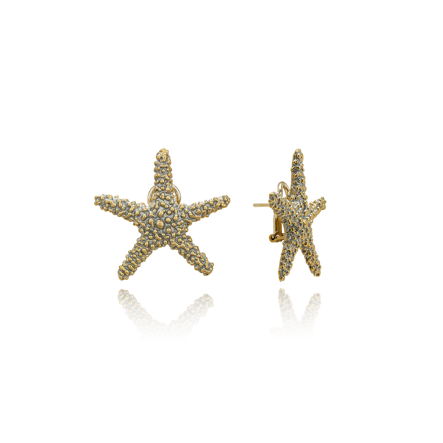 Star Ottone Grigiosole