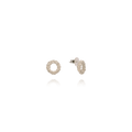 Alchimia Argento Ghiaccio