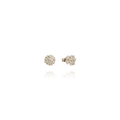 Mirtillo Argento Ghiaccio