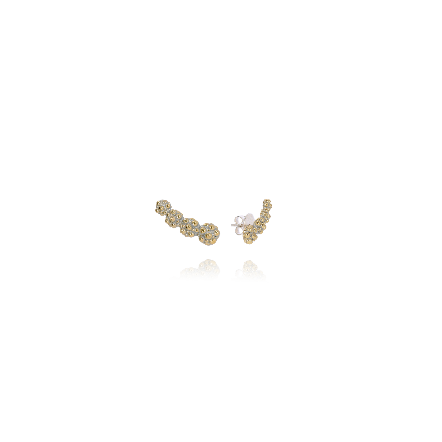 Ribes Ottone Grigiosole